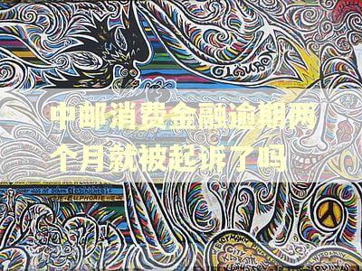 中邮消费金融逾期两个月就被起诉了吗