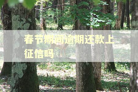 春节期间逾期还款上征信吗