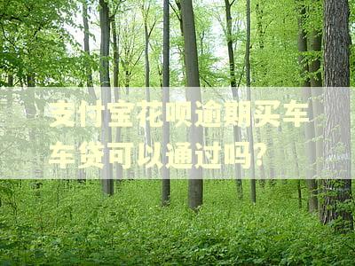 支付宝花呗逾期买车车贷可以通过吗?
