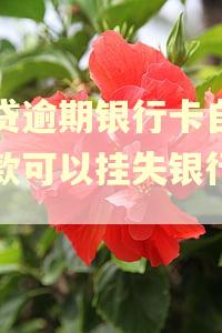 网贷逾期银行卡自动扣款可以挂失银行卡吗
