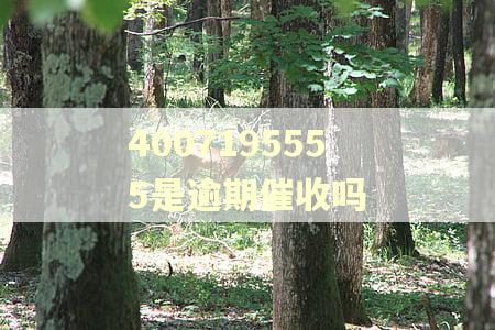 4007195555是逾期催收吗
