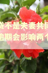 房贷不是夫妻共同贷款逾期会影响两个人吗