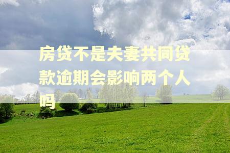 房贷不是夫妻共同贷款逾期会影响两个人吗 房贷不是夫妻共同贷款逾期会影响两个人吗