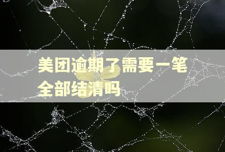 美团逾期了需要一笔全部结清吗