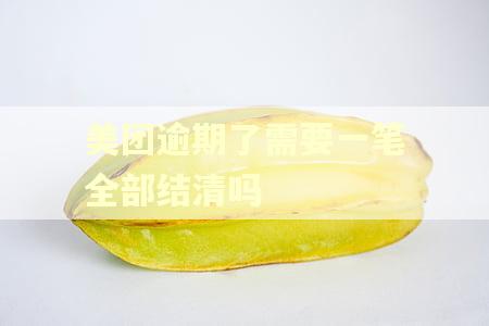 美团逾期了需要一笔全部结清吗