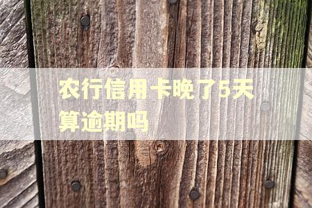 农行信用卡晚了5天算逾期吗