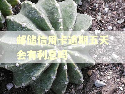 邮储信用卡逾期五天会有利息吗