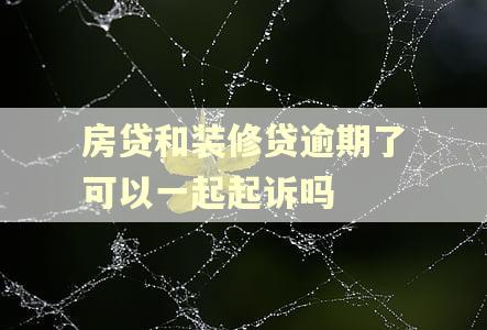 房贷和装修贷逾期了可以一起起诉吗