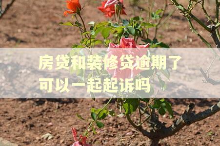 房贷和装修贷逾期了可以一起起诉吗