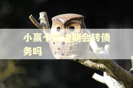 小赢卡贷逾期会转债务吗