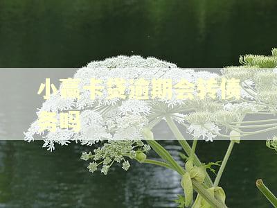 小赢卡贷逾期会转债务吗