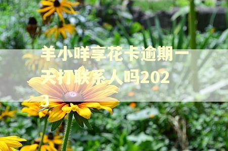 羊小咩享花卡逾期一天打联系人吗2023
