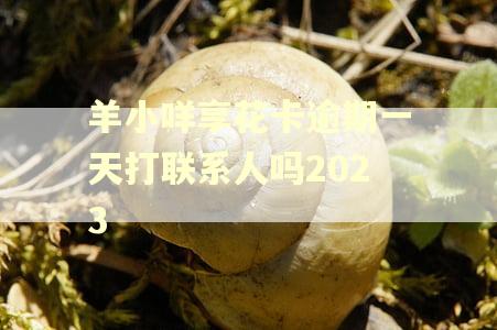 羊小咩享花卡逾期一天打联系人吗2023