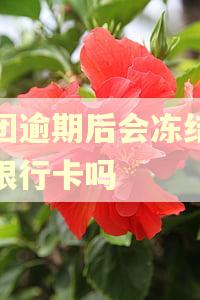 美团逾期后会冻结微信银行卡吗