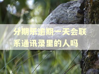 分期乐逾期一天会联系通讯录里的人吗