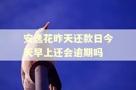 安逸花昨天还款日今天早上还会逾期吗
