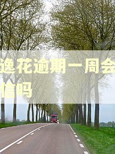 安逸花逾期一周会上征信吗