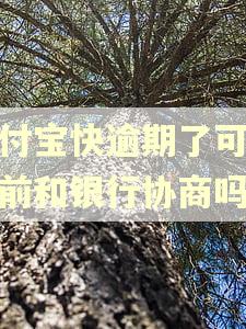 支付宝快逾期了可以提前和银行协商吗