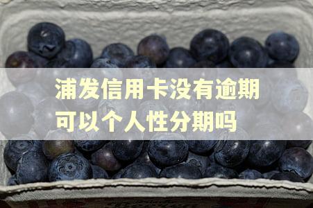 浦发信用卡没有逾期可以个人性分期吗