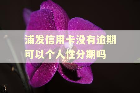 浦发信用卡没有逾期可以个人性分期吗 浦发信用卡没有逾期可以个人性分期吗