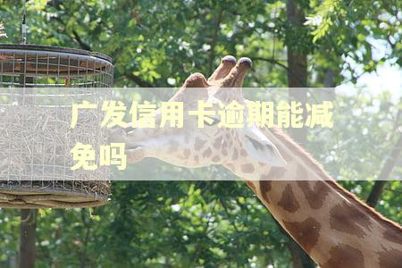 广发信用卡逾期能减免吗