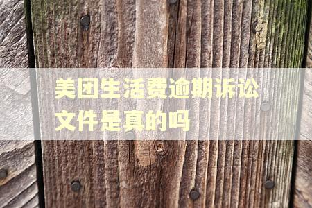 美团生活费逾期诉讼文件是真的吗 美团生活费逾期诉讼文件是真的吗