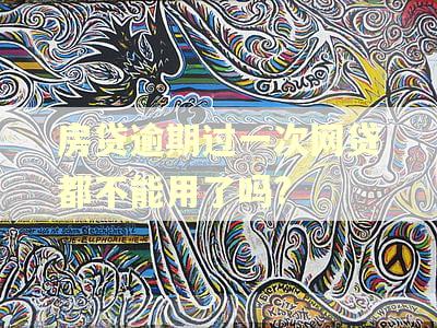 房贷逾期过一次网贷都不能用了吗? 房贷逾期过一次网贷都不能用了吗?