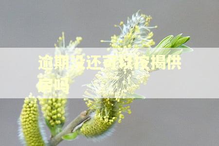 逾期没还可以按揭供房吗