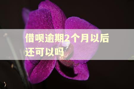 借呗逾期2个月以后还可以吗