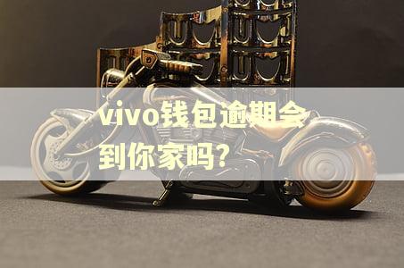 vivo钱包逾期会到你家吗?