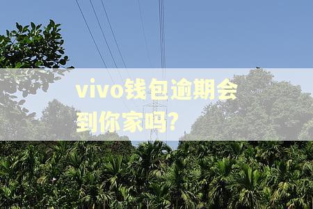 vivo钱包逾期会到你家吗?