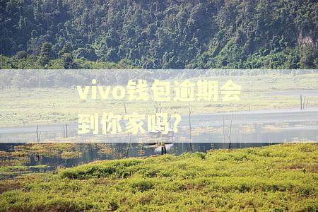 vivo钱包逾期会到你家吗? vivo钱包逾期会到你家吗?
