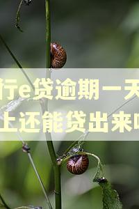 中行e贷逾期一天后还上还能贷出来吗