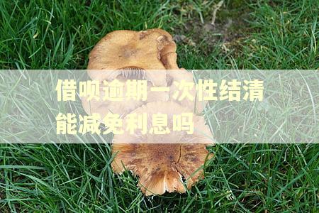 借呗逾期一次性结清能减免利息吗