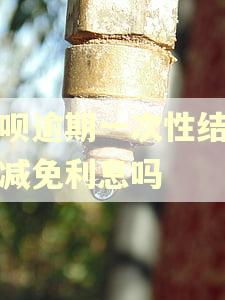 借呗逾期一次性结清能减免利息吗 借呗逾期一次性结清能减免利息吗