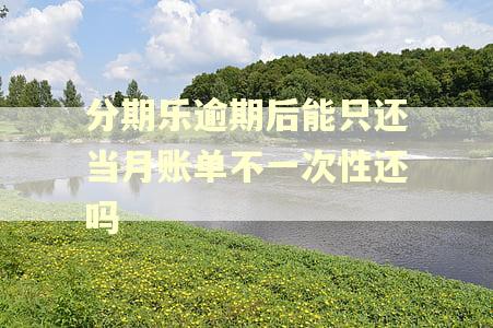 分期乐逾期后能只还当月账单不一次性还吗