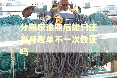 分期乐逾期后能只还当月账单不一次性还吗