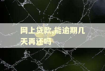 网上贷款,能逾期几天再还吗 网上贷款,能逾期几天再还吗