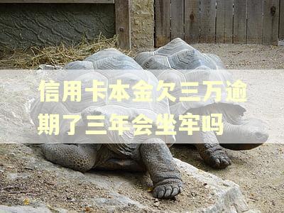 信用卡本金欠三万逾期了三年会坐牢吗