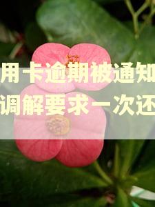 信用卡逾期被通知诉前调解要求一次还清吗