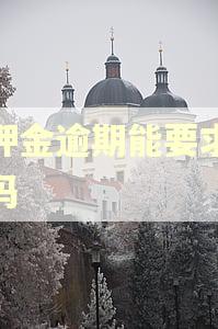 退押金逾期能要求赔偿吗 退押金逾期能要求赔偿吗