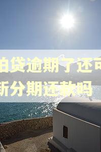 拍拍贷逾期了还可以重新分期还款吗