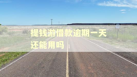 提钱游借款逾期一天还能用吗