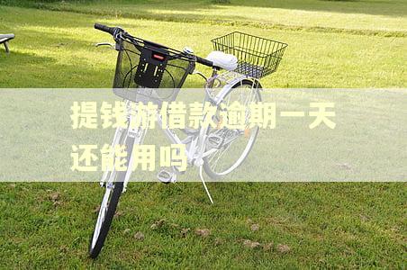 提钱游借款逾期一天还能用吗