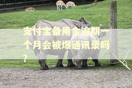 支付宝备用金逾期一个月会被爆通讯录吗?