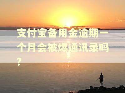 支付宝备用金逾期一个月会被爆通讯录吗?