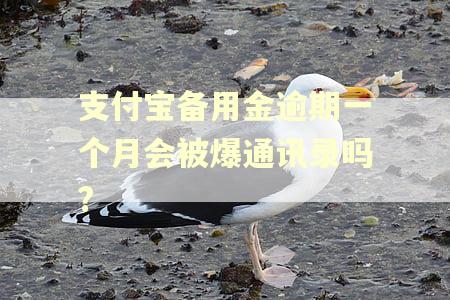 支付宝备用金逾期一个月会被爆通讯录吗?