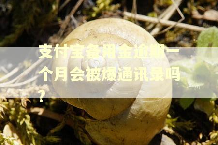 支付宝备用金逾期一个月会被爆通讯录吗? 支付宝备用金逾期一个月会被爆通讯录吗?