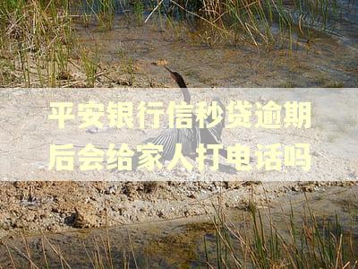 平安银行信秒贷逾期后会给家人打电话吗