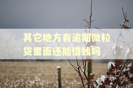 其它地方有逾期微粒贷里面还能借钱吗